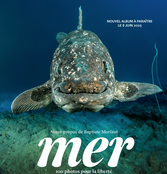 Reporters Sans Frontières nous plonge dans l’été avec son nouvel album dédié à « La Mer » !